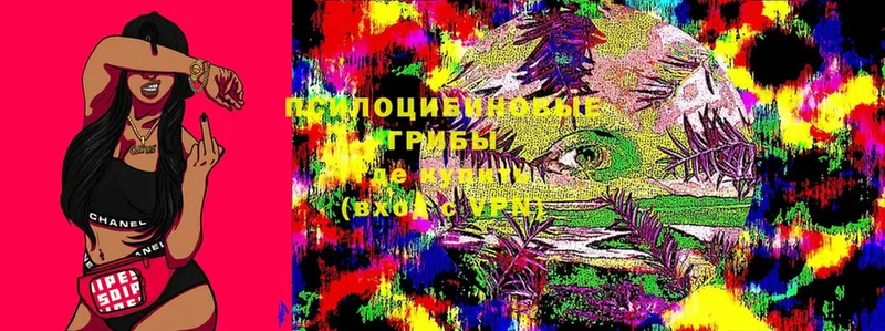 Псилоцибиновые грибы Magic Shrooms  Гай 